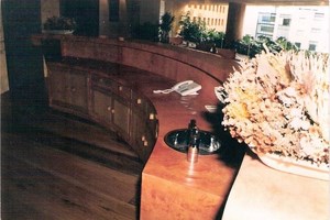Image 009